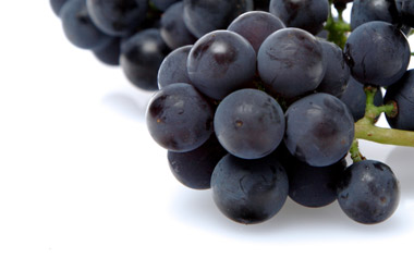 white wine grapes